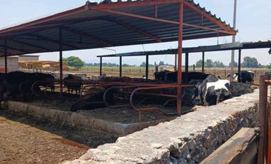 RANCHO EN VENTA EN EL VENADO, ALVARO OBREGON