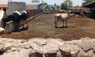 RANCHO EN VENTA EN EL VENADO, ALVARO OBREGON