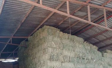 RANCHO EN VENTA EN EL VENADO, ALVARO OBREGON