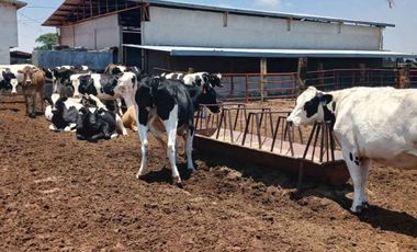 RANCHO EN VENTA EN EL VENADO, ALVARO OBREGON