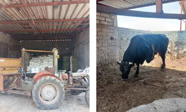 RANCHO EN VENTA EN EL VENADO, ALVARO OBREGON