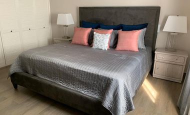 Departamento amueblado en renta en Polanco, Emilio Castelar.