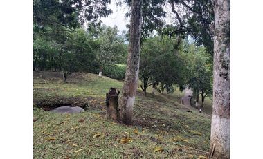 VENDO CASA CAMPESTRE CON PISCINA - LA MESA - URGEME