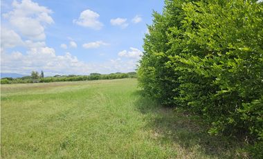 Venta de Lote en Rozo sector Matapalo Valle del Cauca