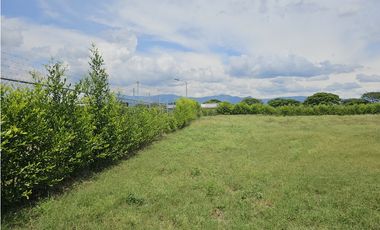 Venta de Lote en Rozo sector Matapalo Valle del Cauca