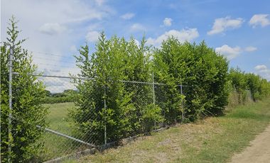 Venta de Lote en Rozo sector Matapalo Valle del Cauca