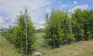 Venta de Lote en Rozo sector Matapalo Valle del Cauca