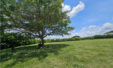 Lote en Venta Rozo-sector la Torre Valle del Cauca