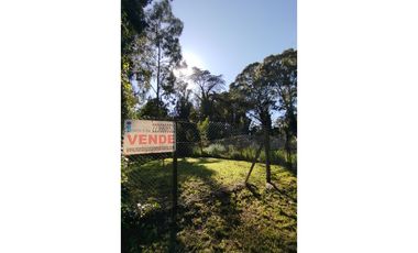 Lote 15 x 30 m. Bosque Peralta Ramos. Terreno alambrado