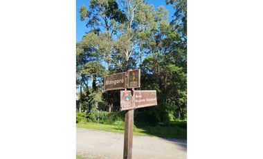 Lote 15 x 30 m. Bosque Peralta Ramos. Terreno alambrado