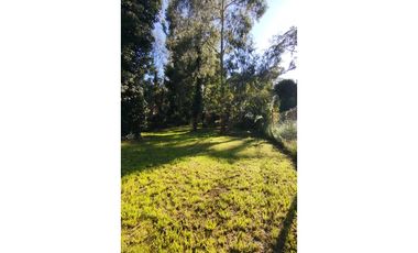 Lote 15 x 30 m. Bosque Peralta Ramos. Terreno alambrado