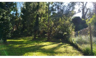 Lote 15 x 30 m. Bosque Peralta Ramos. Terreno alambrado