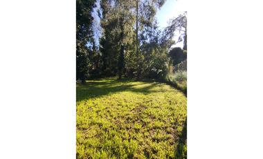 Lote 15 x 30 m. Bosque Peralta Ramos. Terreno alambrado