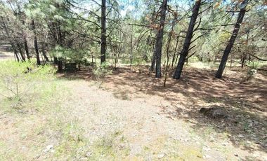 Lote / Terreno en Venta en Huasca de Ocampo