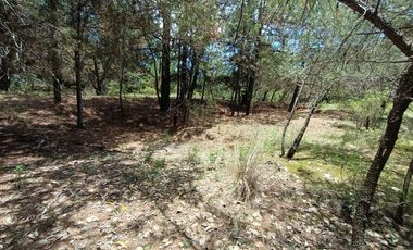 Lote / Terreno en Venta en Huasca de Ocampo