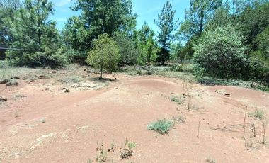 Lote / Terreno en Venta en Huasca de Ocampo