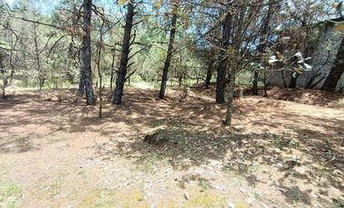 Lote / Terreno en Venta en Huasca de Ocampo