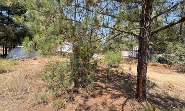 Lote / Terreno en Venta en Huasca de Ocampo