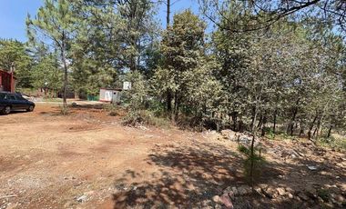 Lote / Terreno en Venta en Huasca de Ocampo