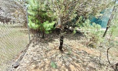 Lote / Terreno en Venta en Huasca de Ocampo