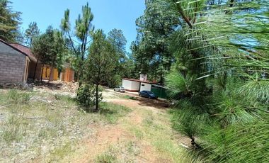 Lote / Terreno en Venta en Huasca de Ocampo