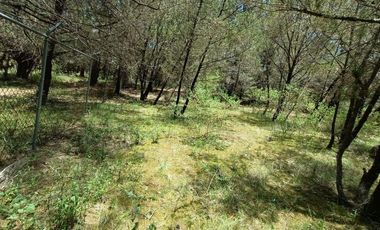 Lote / Terreno en Venta en Huasca de Ocampo