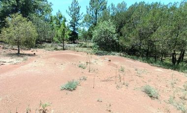 Lote / Terreno en Venta en Huasca de Ocampo