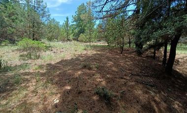 Lote / Terreno en Venta en Huasca de Ocampo