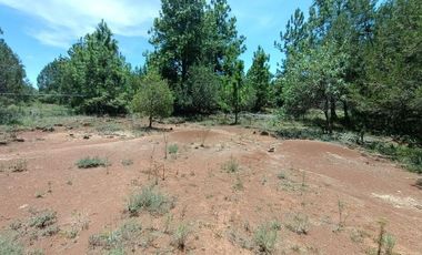 Lote / Terreno en Venta en Huasca de Ocampo