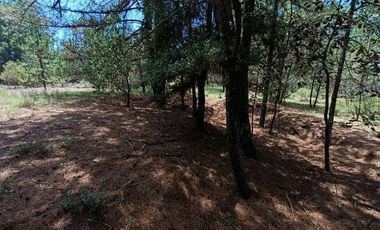 Lote / Terreno en Venta en Huasca de Ocampo