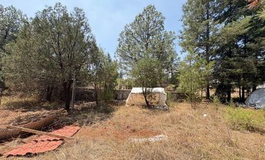 Lote / Terreno en Venta en Huasca de Ocampo