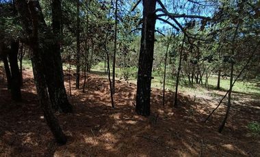 Lote / Terreno en Venta en Huasca de Ocampo