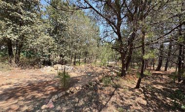 Lote / Terreno en Venta en Huasca de Ocampo