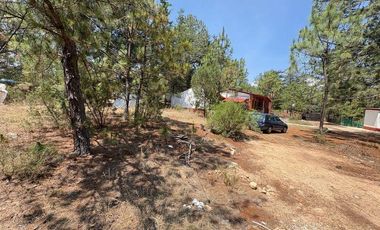 Lote / Terreno en Venta en Huasca de Ocampo