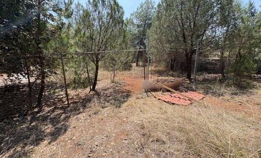 Lote / Terreno en Venta en Huasca de Ocampo