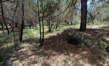 Lote / Terreno en Venta en Huasca de Ocampo