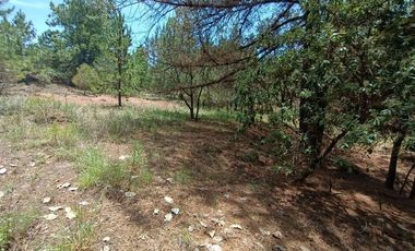 Lote / Terreno en Venta en Huasca de Ocampo