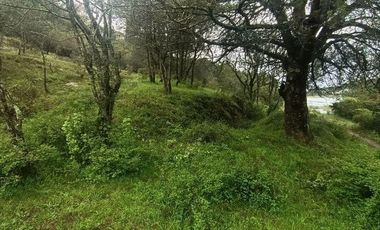 Lote / Terreno en Venta en La Estanzuela