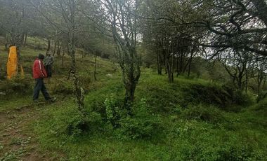 Lote / Terreno en Venta en La Estanzuela