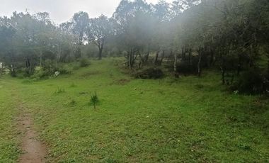Lote / Terreno en Venta en La Estanzuela