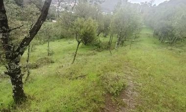 Lote / Terreno en Venta en La Estanzuela