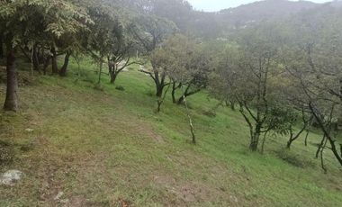Lote / Terreno en Venta en La Estanzuela