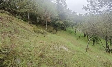 Lote / Terreno en Venta en La Estanzuela