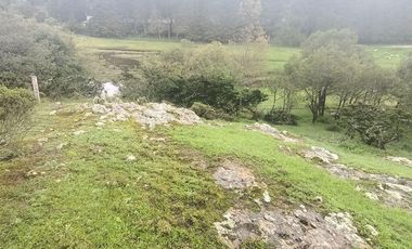 Lote / Terreno en Venta en La Estanzuela