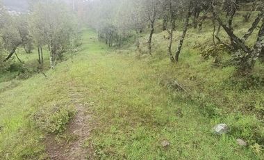 Lote / Terreno en Venta en La Estanzuela