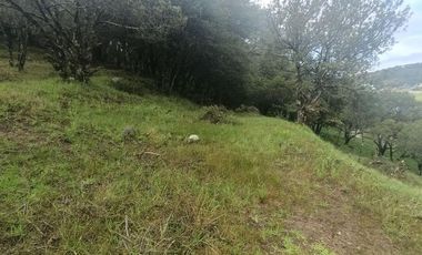 Lote / Terreno en Venta en La Estanzuela