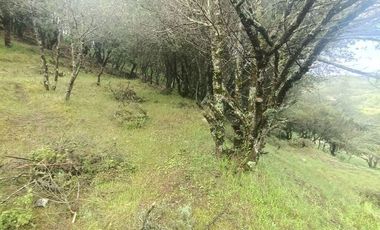 Lote / Terreno en Venta en La Estanzuela