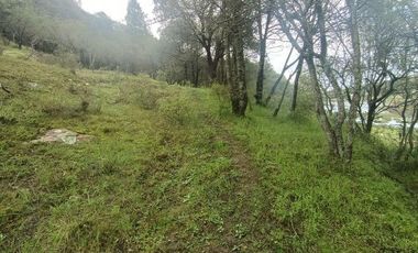 Lote / Terreno en Venta en La Estanzuela