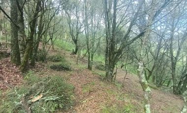 Lote / Terreno en Venta en La Estanzuela