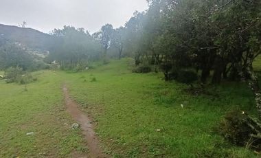 Lote / Terreno en Venta en La Estanzuela